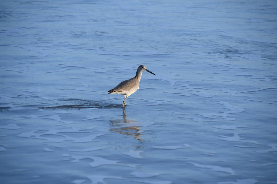 Beach walking in Miami Beach 2