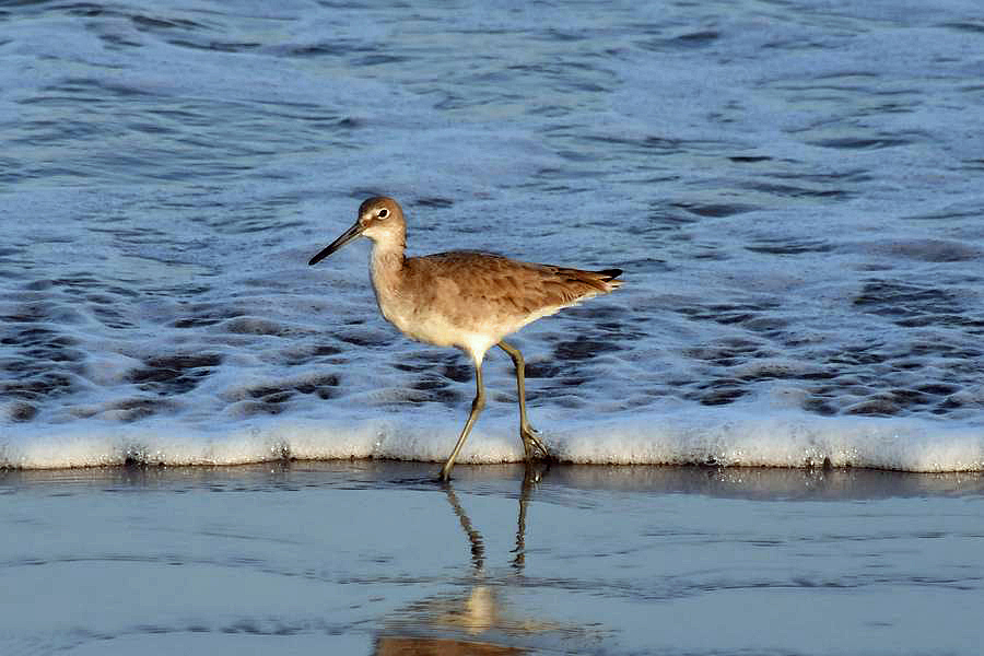 Beach walking in Miami Beach